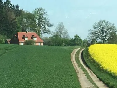 Ferienhaus für 6 Personen (120 m²) in Wensin 3/10