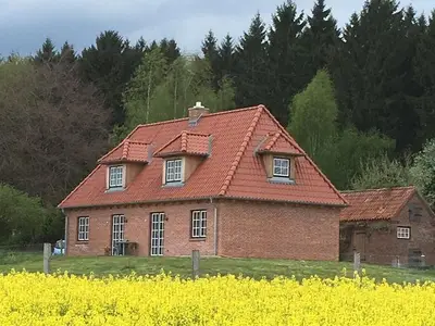 Ferienhaus für 6 Personen (120 m²) in Wensin 4/10