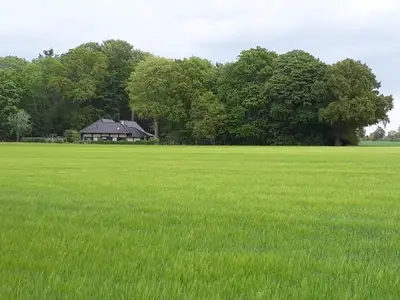 Ferienhaus für 12 Personen (160 m²) in Werlte 3/10