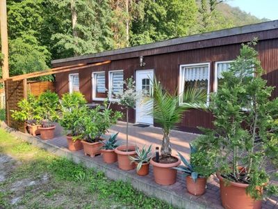 Ferienhaus für 3 Personen (50 m²) in Wernigerode 1/7