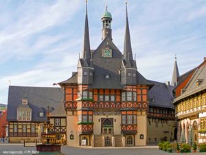 23847721-Ferienhaus-8-Wernigerode-300x225-2