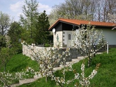 Ferienhaus für 4 Personen (45 m²) in Wernigerode 1/8