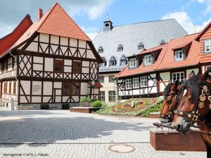 23847734-Ferienhaus-10-Wernigerode-300x225-3