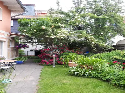 GardenSummer