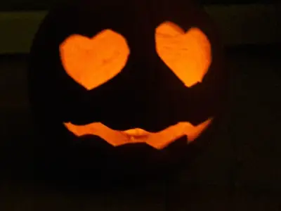 Ferienhaus für 3 Personen (40 m²) in Wernigerode 4/10