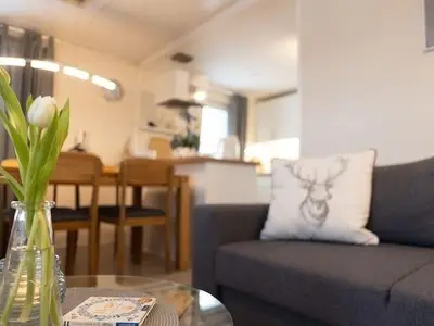 Ferienhaus für 4 Personen (45 m²) in Wernigerode 7/10