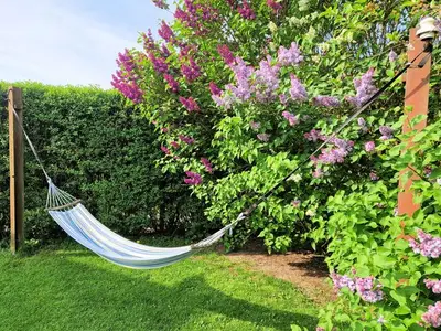 Ferienhaus für 3 Personen (35 m²) in Wesenberg 7/10