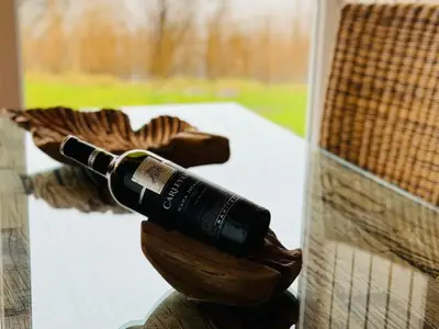 Ferienhaus für 6 Personen (110 m²) in Wesselburenerkoog 9/10