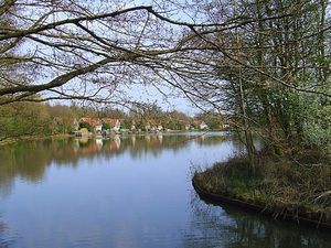 19354926-Ferienhaus-4-Westerbork-300x225-4