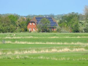 Ferienhaus für 4 Personen (62 m&sup2;) in Westerhever