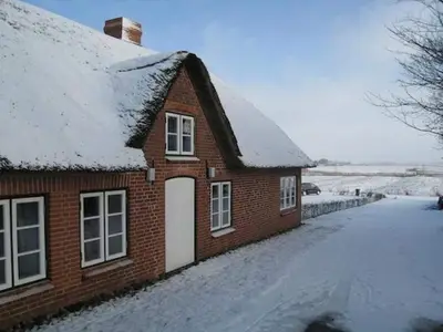 ExteriorWinter