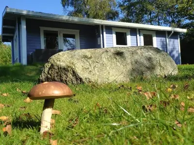 Ferienhaus für 3 Personen (45 m²) in Westerholz 2/10