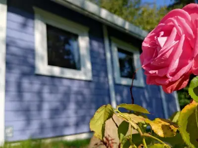 Ferienhaus für 3 Personen (45 m²) in Westerholz 3/10