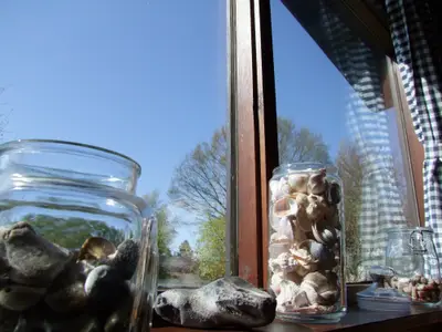 Ferienhaus für 3 Personen (45 m²) in Westerholz 10/10