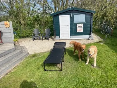 Ferienhaus für 4 Personen (40 m²) in Westerland (Nordholland) 6/10