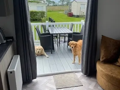 Ferienhaus für 4 Personen (40 m²) in Westerland (Nordholland) 7/10