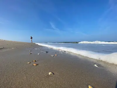 Ferienhaus für 4 Personen (40 m²) in Westerland (Nordholland) 8/10