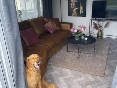 Ferienhaus für 4 Personen (40 m²) in Westerland (Nordholland) 9/10