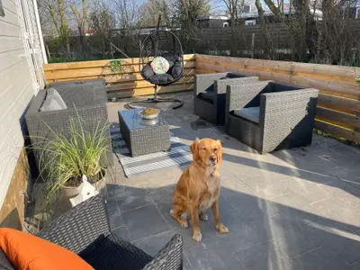 Ferienhaus für 6 Personen (40 m²) in Westerland (Nordholland) 2/10