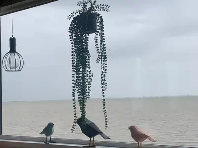 Ferienhaus für 4 Personen (40 m²) in Westerland (Nordholland) 2/10