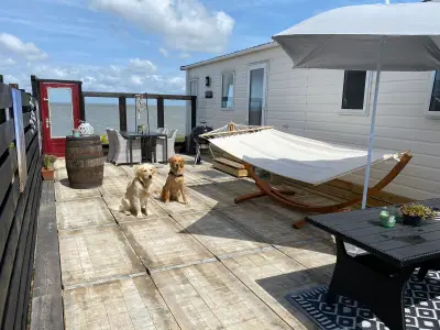 Ferienhaus für 4 Personen (40 m²) in Westerland (Nordholland) 6/10