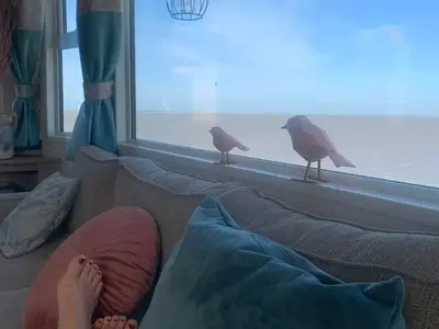 Ferienhaus für 4 Personen (40 m²) in Westerland (Nordholland) 7/10