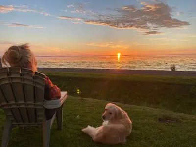 Ferienhaus für 4 Personen (40 m²) in Westerland (Nordholland) 10/10