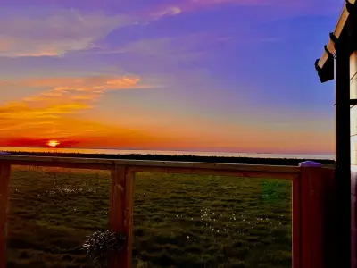 Ferienhaus für 4 Personen (44 m²) in Westerland (Nordholland) 1/10