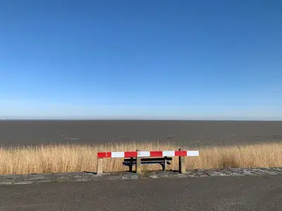 Ferienhaus für 4 Personen (40 m²) in Westerland (Nordholland) 10/10