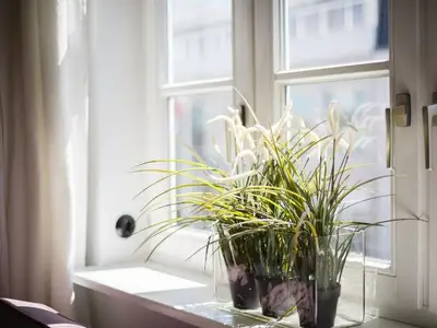 Ferienhaus für 4 Personen (105 m²) in Sylt-Ost 7/10