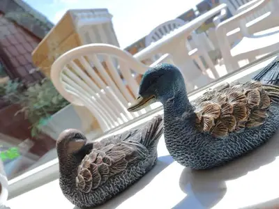 Ferienhaus für 2 Personen (85 m²) in Sylt-Ost 6/10