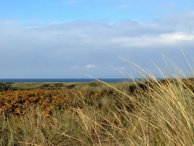 Ferienhaus für 1 Person (16 m²) in Sylt-Ost 3/10