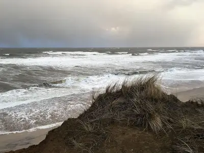 Ferienhaus für 1 Person (16 m²) in Sylt-Ost 4/10