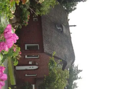 Ferienhaus für 5 Personen (85 m²) in Sylt-Ost 2/10