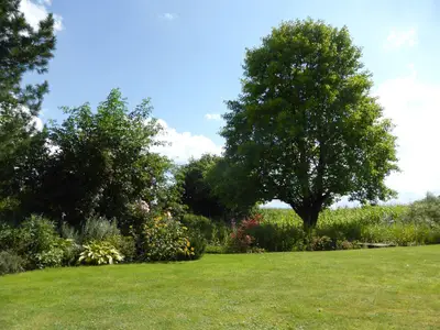 Gartenblick