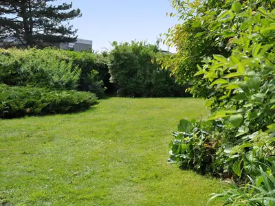 Ferienhaus für 4 Personen (75 m²) in Westfehmarn 7/10