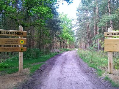 Der naheliegende Darß- Wald