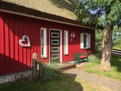 Ferienhaus für 3 Personen (68 m²) in Wieck am Darß 3/10