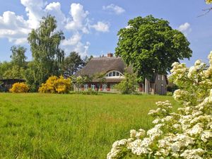 Ferienhaus für 8 Personen (240 m&sup2;) in Wieck am Darß