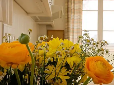 Küche / Küchenzeile