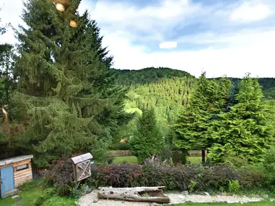 ViewSummer