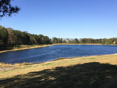 WaterView