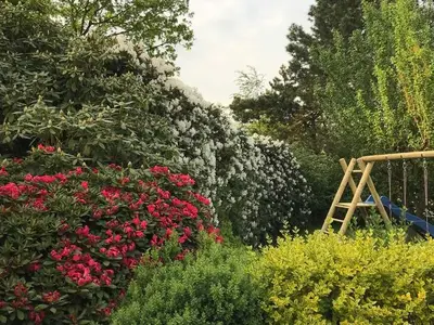 Ferienhaus für 9 Personen (150 m²) in Wiefelstede 5/10