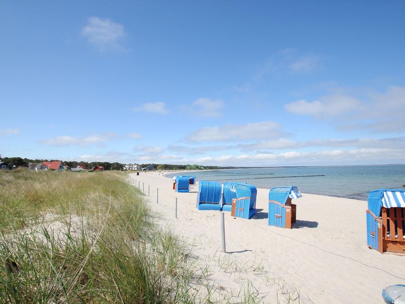 23956705-Ferienhaus-6-Wiek auf Rügen-800x600-1