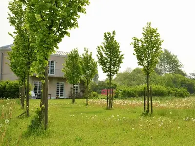 Ferienhaus für 12 Personen (232 m²) in Wiek auf Rügen 2/10