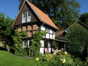 Ferienhaus für 5 Personen (80 m²) in Wienhausen-Nordburg