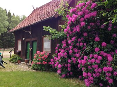 ...wenn die Rhododendren blühen...