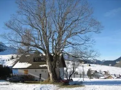 Bild 5 Bild 5