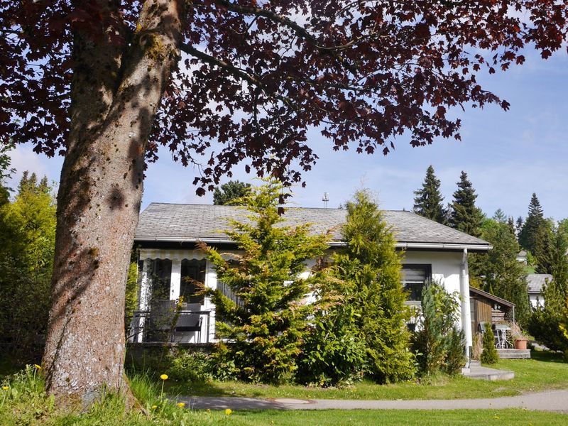 23496748-Ferienhaus-6-Willingen (Upland)-800x600-0