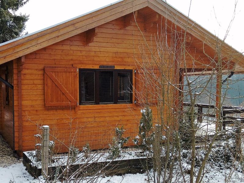 22422685-Ferienhaus-4-Willingen (Upland)-800x600-2